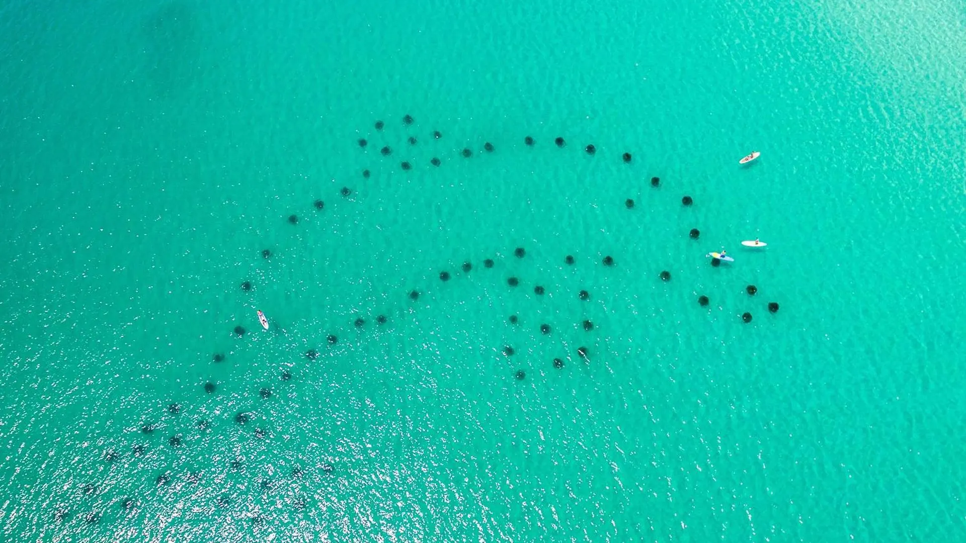 Oceania 207- By Holiday Isle Properties Destin Stati Uniti