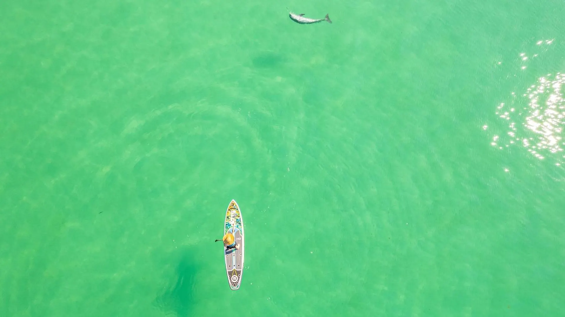 Apartment Oceania 207- By Holiday Isle Properties Destin United States